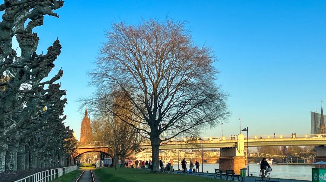 微信图片_20230330154959